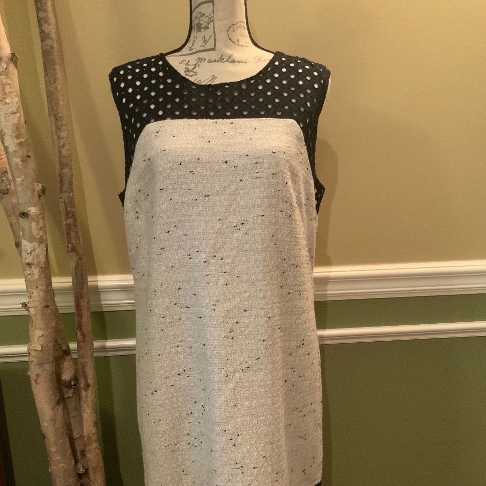 Ann Taylor Dress 12